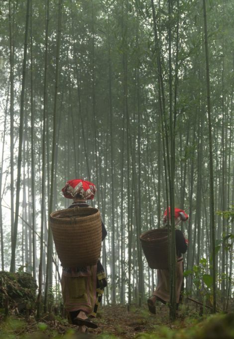 Vietnam viaggigruppo cgtravel