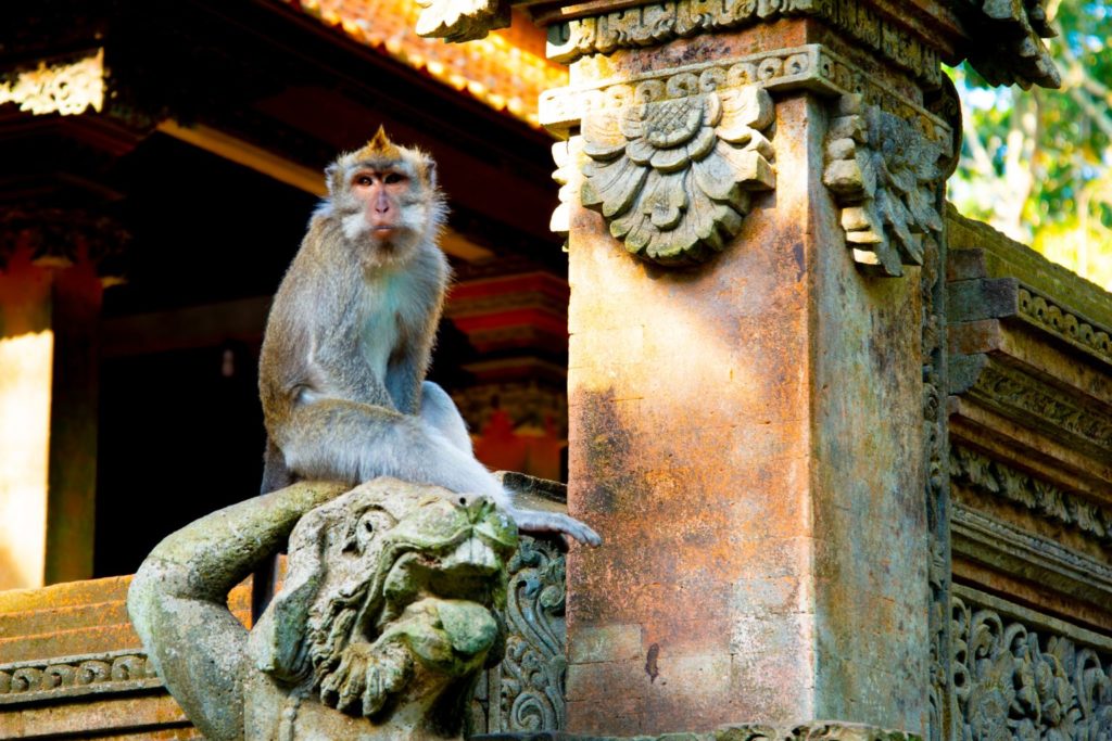 Monkey Forest Ubud Guida Viaggio CGTravel Blog Agenzia Viaggi Firenze (1)