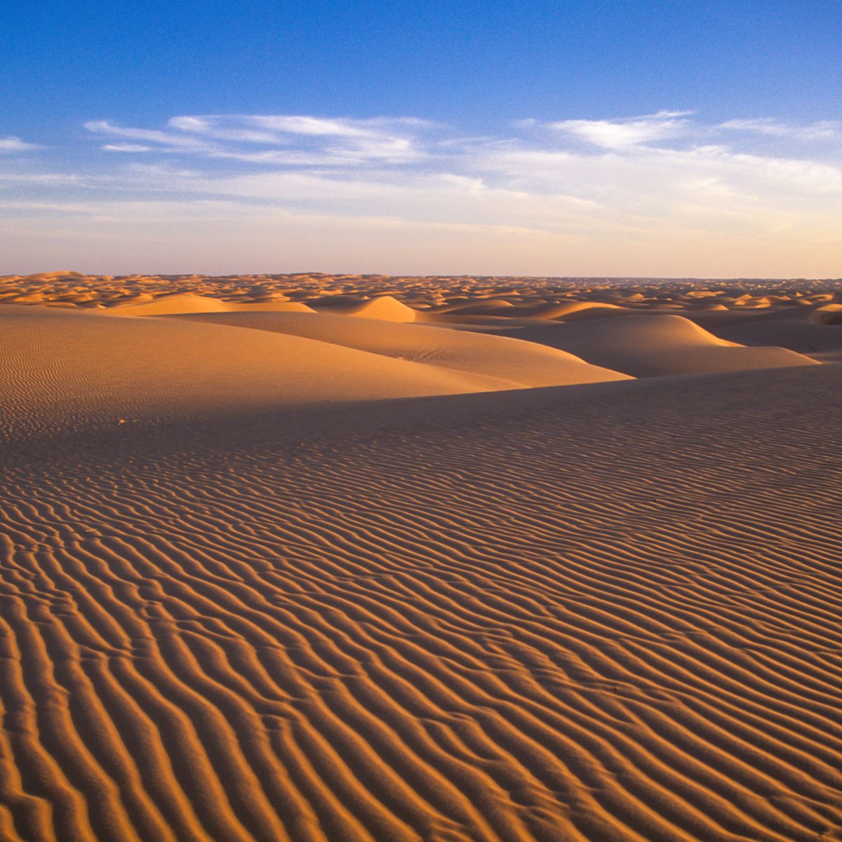 MAURITANIA VIAGGIO DI GRUPPO CGTRAVEL MAURITANIA VIAGGIO DI GRUPPO CGTRAVEL