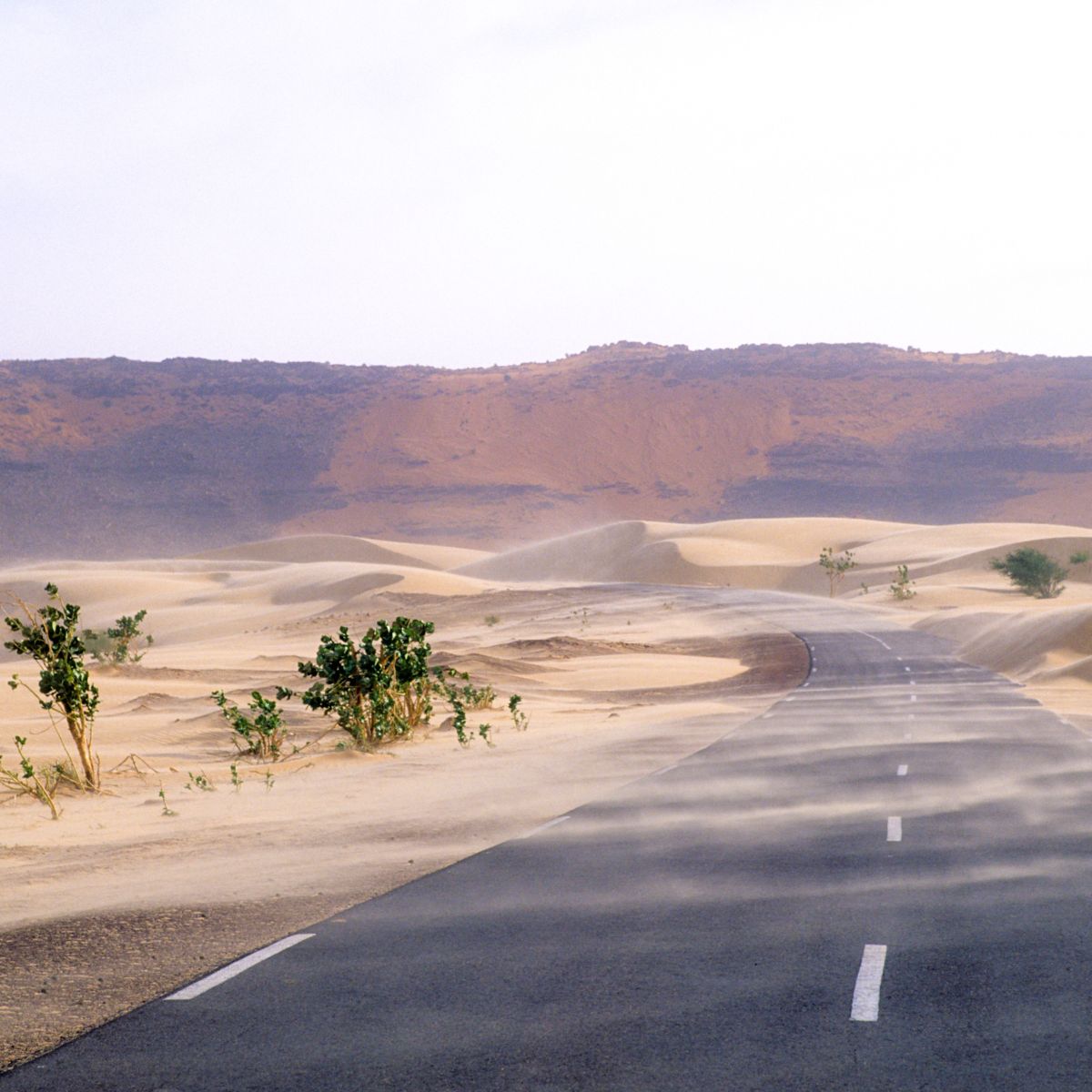 MAURITANIA VIAGGIO DI GRUPPO CGTRAVEL MAURITANIA VIAGGIO DI GRUPPO CGTRAVEL