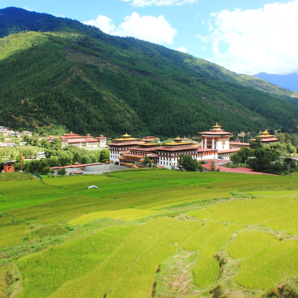 bhutan viaggi cgtravel