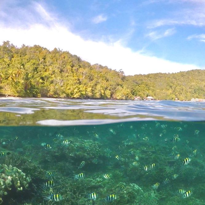 indonesia viaggi CGTravel TO Firenze via Tagliaferri 45 (5) indonesia viaggi CGTravel TO Firenze via Tagliaferri 45 (9)