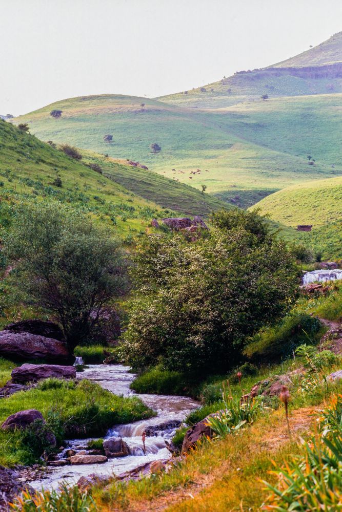Samarcanda - Piazza Registan - Shah l Zinda - Osservatorio di Ulugbek - Bazar Si Yob - Bukhara - Ensemble Labi Hauz - Bakhautdin Naqshbandi - Khiva - Itchan Kala
