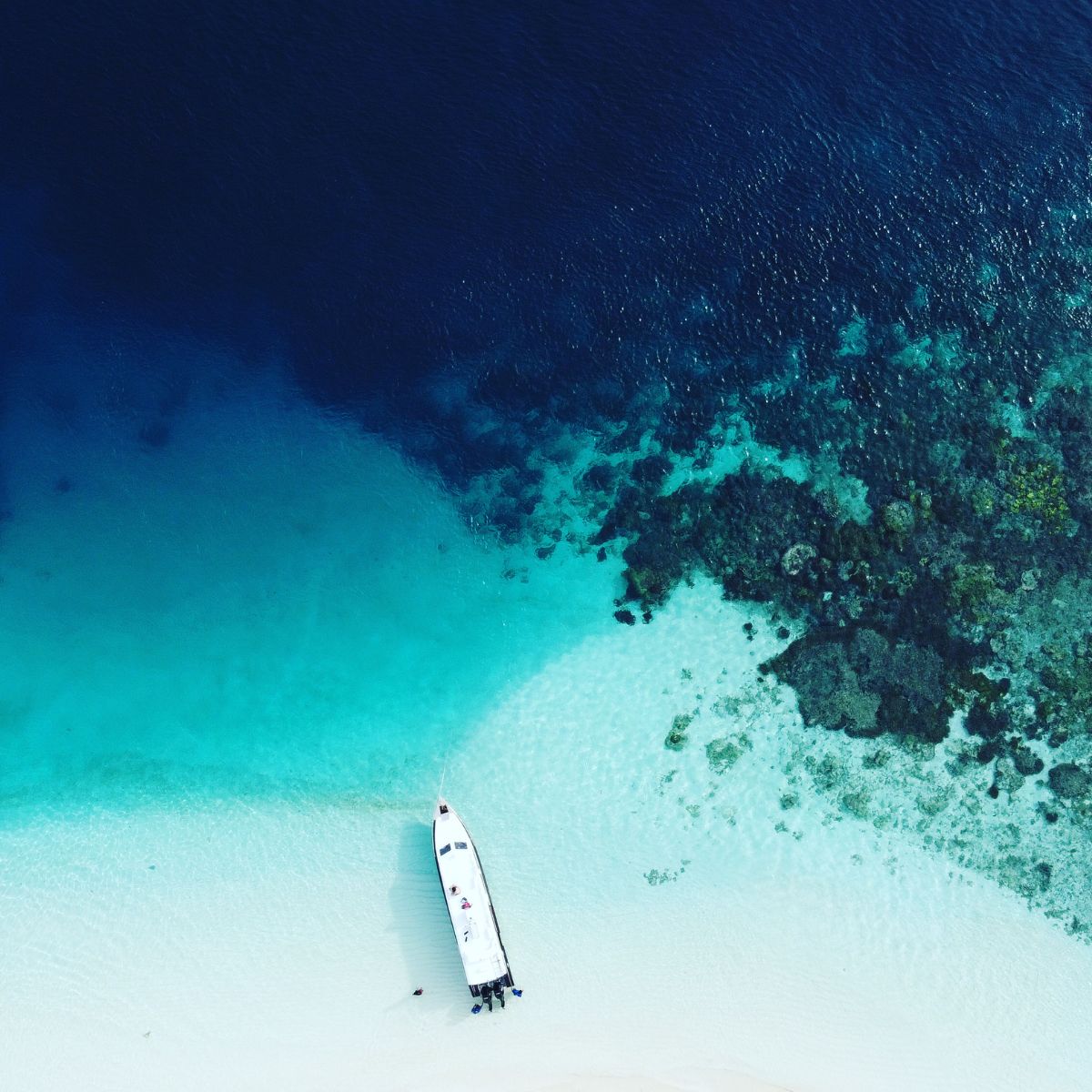 raja ampat viaggi cgtravel raja ampat viaggi cgtravel