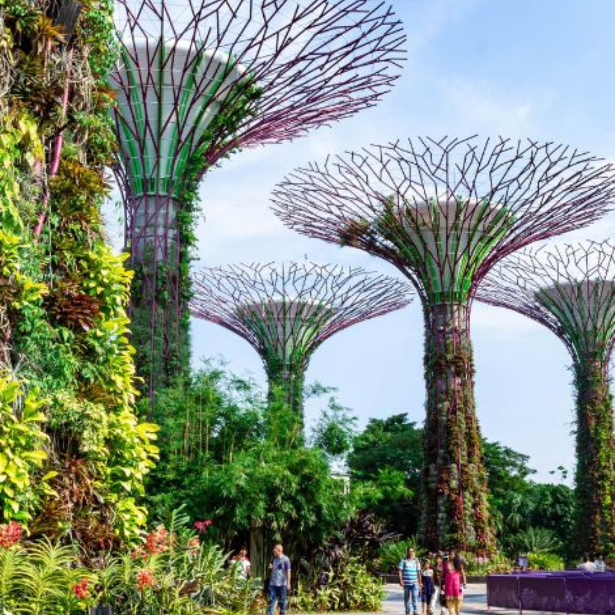 singapore viaggi CGTravel TO Firenze via Tagliaferri 45 (1) singapore viaggi CGTravel TO Firenze via Tagliaferri 45 (1)