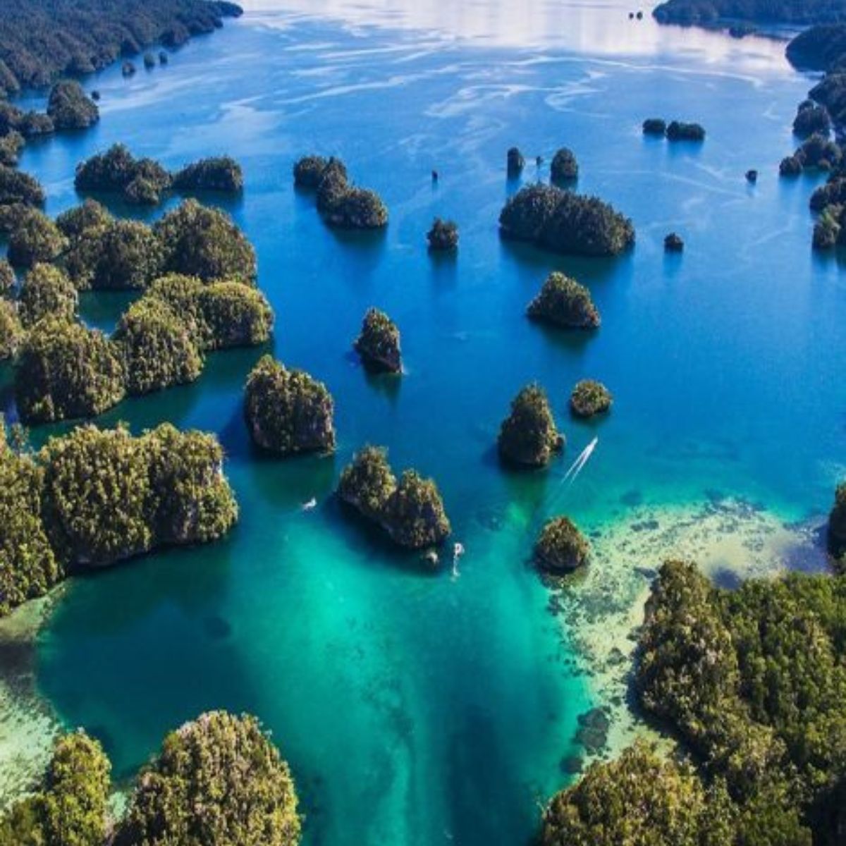 singapore viaggi CGTravel TO Firenze via Tagliaferri 45 (1) singapore viaggi CGTravel TO Firenze via Tagliaferri 45 (1)