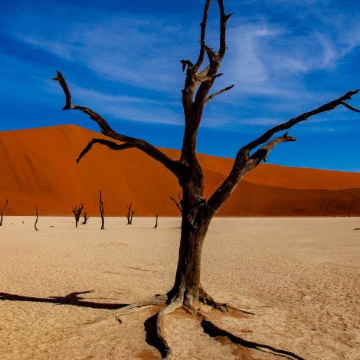 Namibia viaggi di gruppo cgtravel Namibia viaggi di gruppo cgtravel