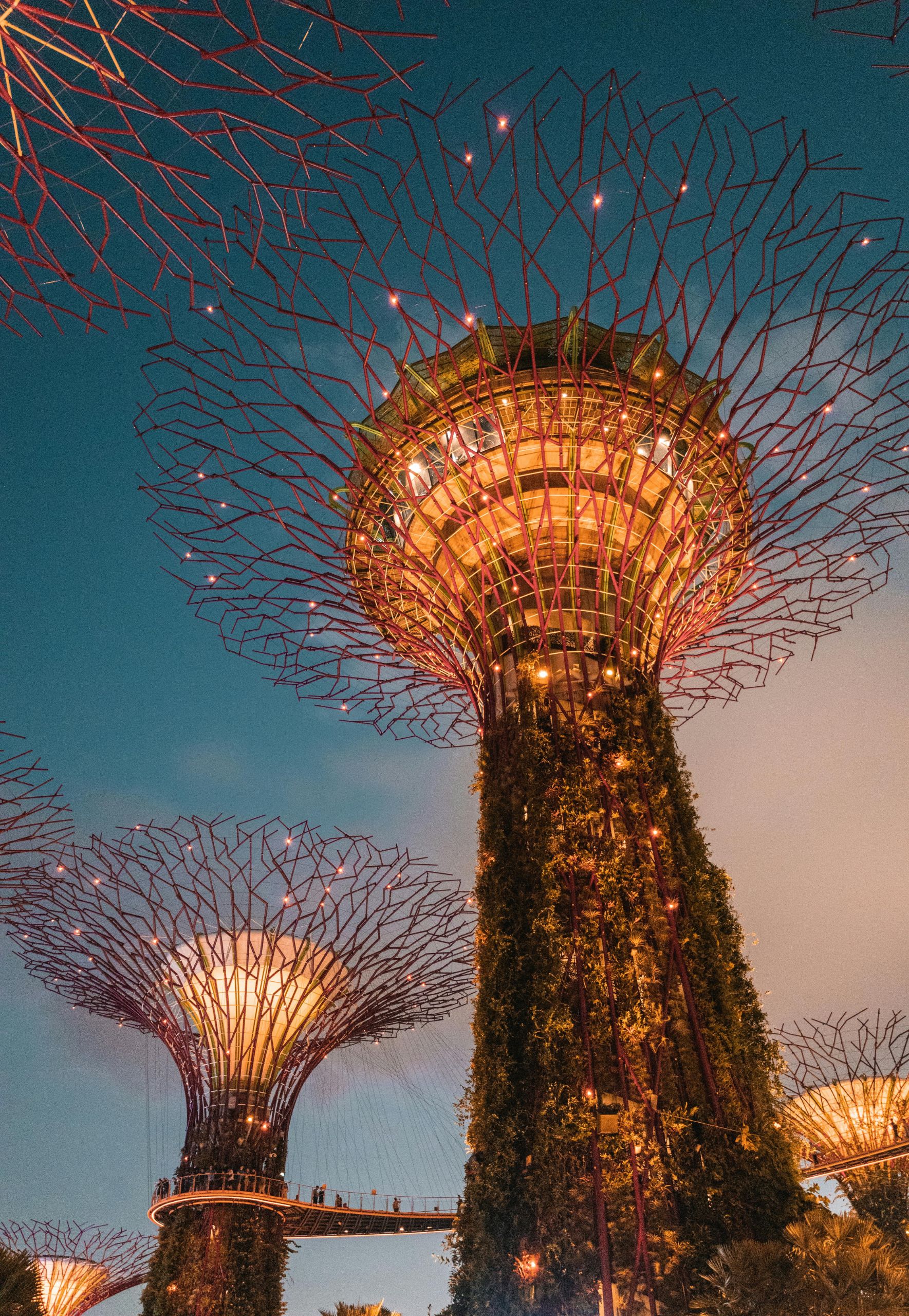 Singapore & Indonesia viaggi di nozze cgtravel agenzia viaggi italia