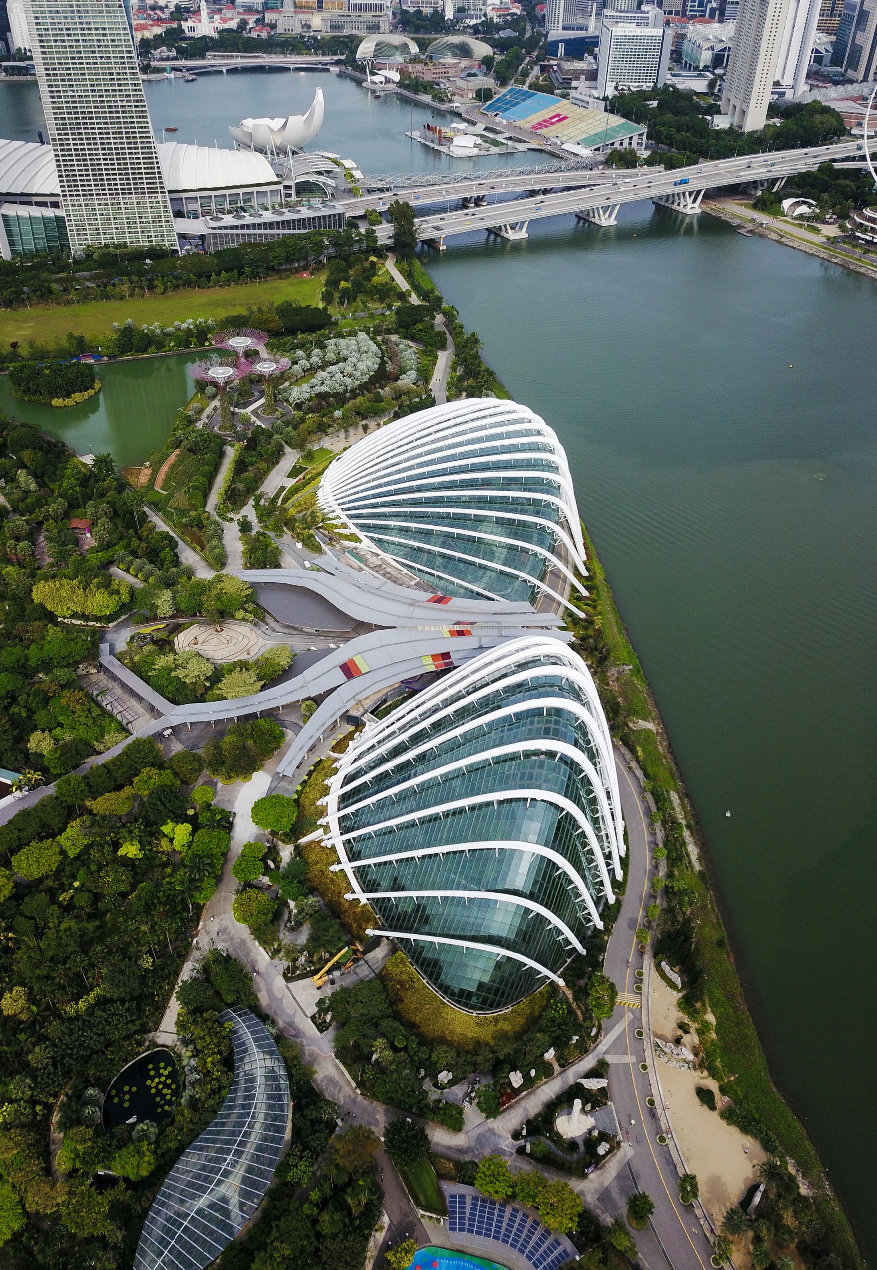 Singapore & Indonesia viaggi di nozze cgtravel agenzia viaggi italia