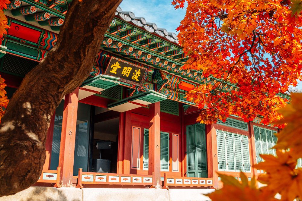 Corea del Sud cgtravel da non perdere Corea del Sud cgtravel da non perdere