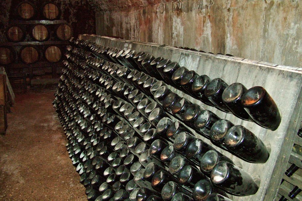 Australia great ocean road kangaroo island itinerario viaggio guida Australia great ocean road kangaroo island itinerario viaggio guida