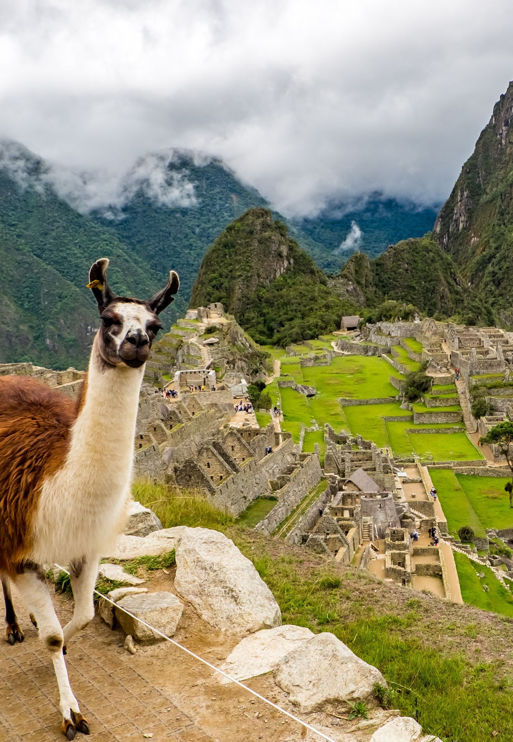 giro del mondo viaggio di nozze cgtravel giro del mondo viaggio di nozze cgtravel