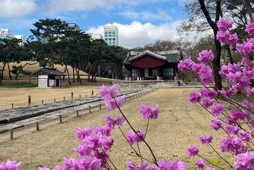 Corea del Sud cgtravel da non perdere Corea del Sud cgtravel da non perdere