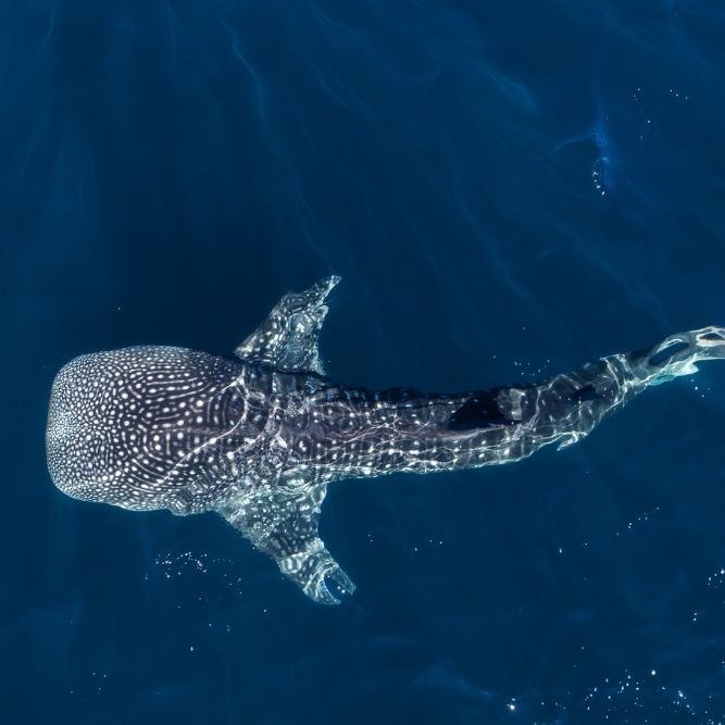 viaggi di gruppo CGTravel Messico dia de los muertos