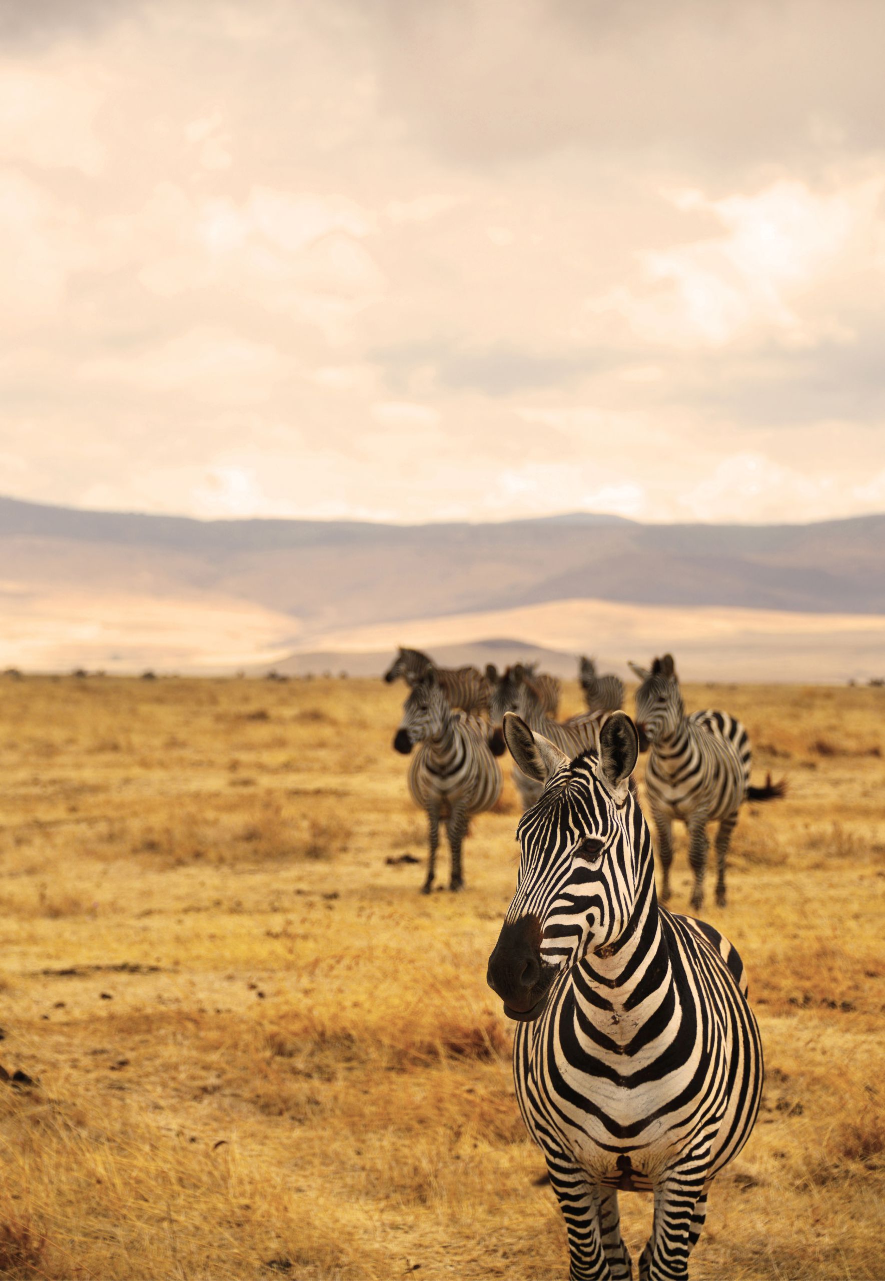 giro del mondo viaggio di nozze cgtravel giro del mondo viaggio di nozze cgtravel