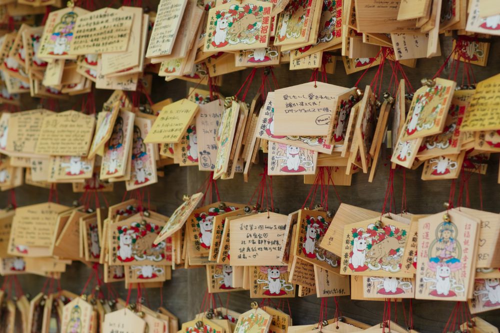 Giappone: 10 esperienze imperdibili per veri cat lover Giappone: 10 esperienze imperdibili per veri cat lover