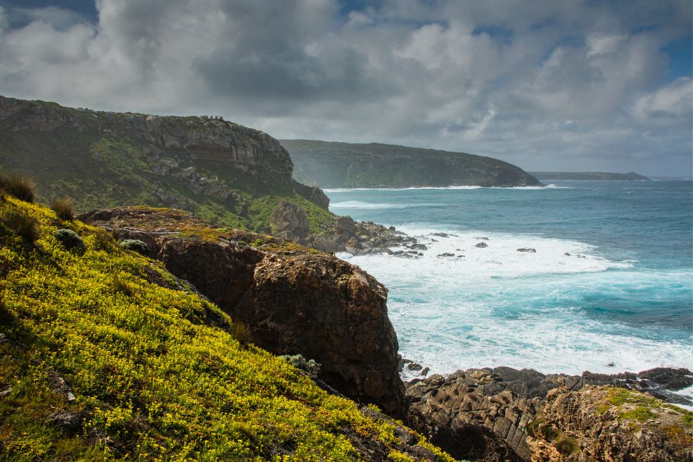 Australia great ocean road kangaroo island itinerario viaggio guida Australia great ocean road kangaroo island itinerario viaggio guida