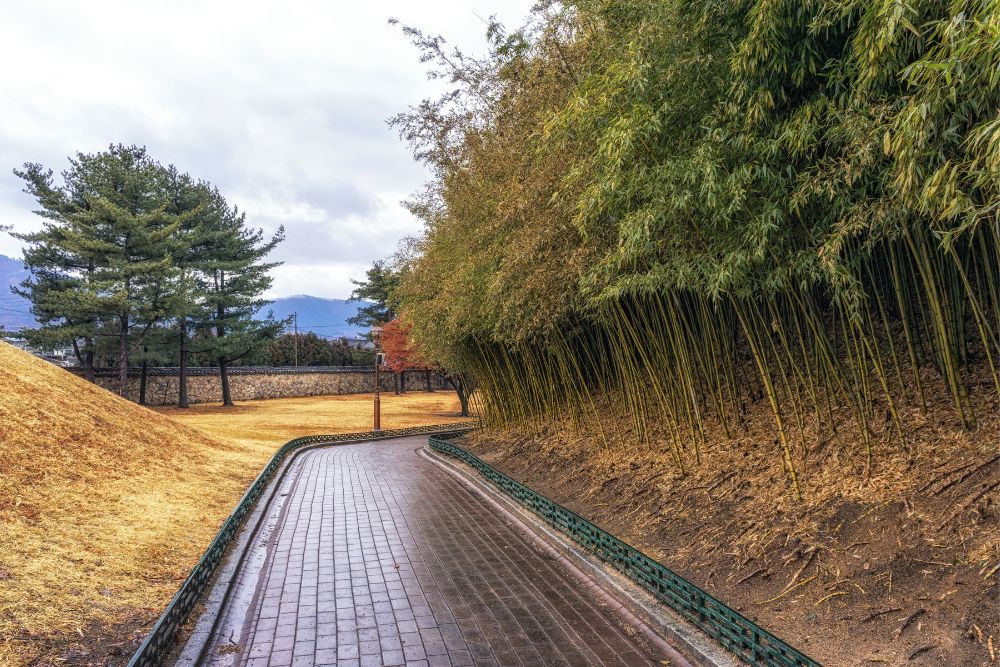 Un giorno a Gyeongju come un local Tra caffetterie alla moda, pane di Hwangnam e i silenzi millenari dei tumuli reali Un giorno a Gyeongju come un local Tra caffetterie alla moda, pane di Hwangnam e i silenzi millenari dei tumuli reali
