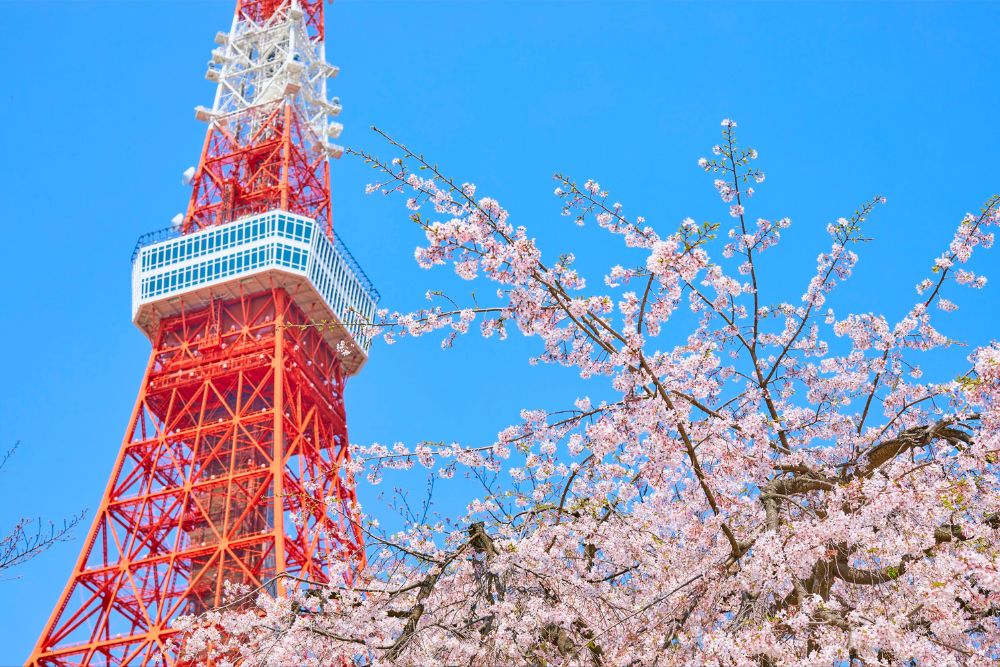 15 dritte da insider per il tuo prossimo viaggio a Tokyo 15 dritte da insider per il tuo prossimo viaggio a Tokyo