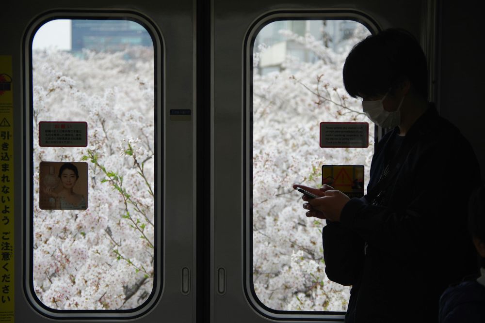 15 dritte da insider per il tuo prossimo viaggio a Tokyo 15 dritte da insider per il tuo prossimo viaggio a Tokyo