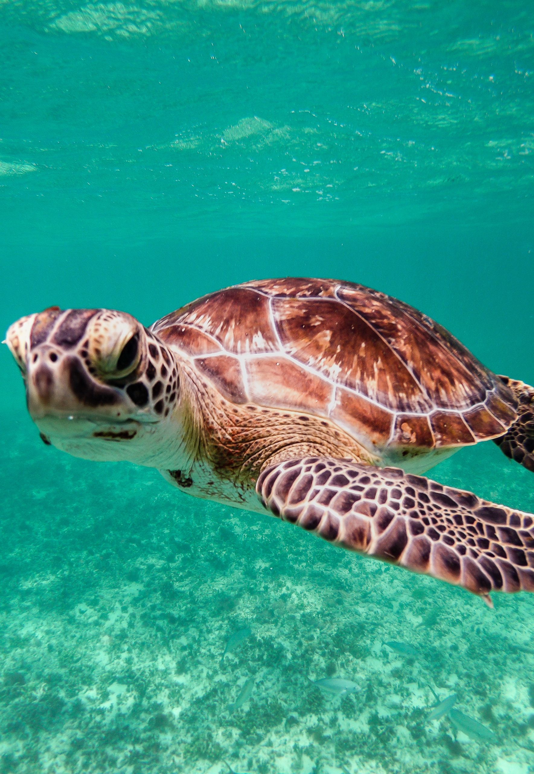 giro del mondo viaggio di nozze cgtravel giro del mondo viaggio di nozze cgtravel