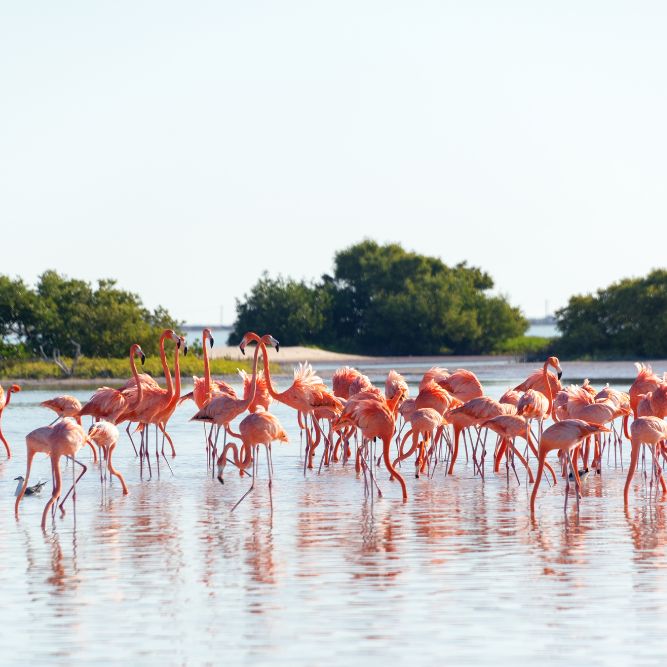 viaggi di gruppo CGTravel Messico dia de los muertos