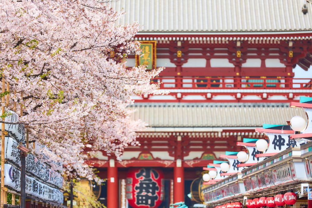 15 dritte da insider per il tuo prossimo viaggio a Tokyo 15 dritte da insider per il tuo prossimo viaggio a Tokyo