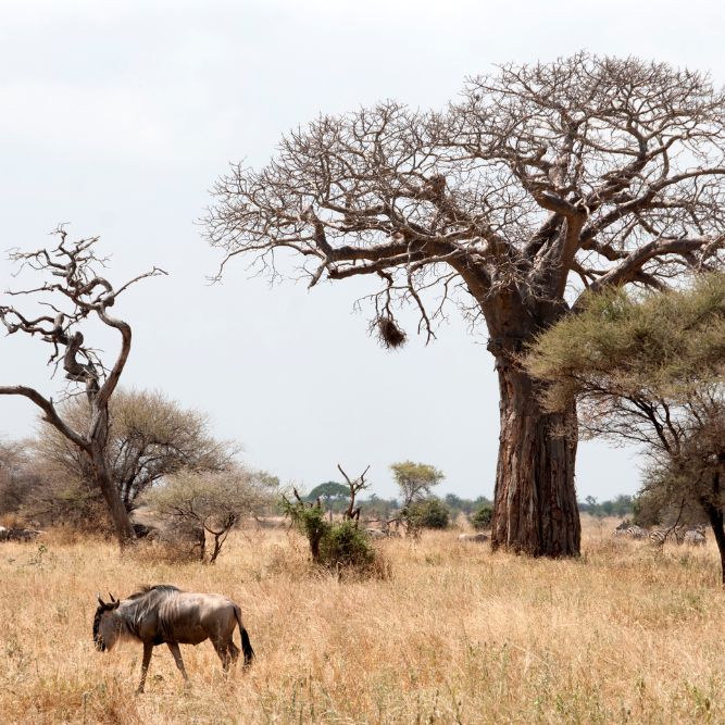 giro del mondo viaggio di nozze cgtravel giro del mondo viaggio di nozze cgtravel