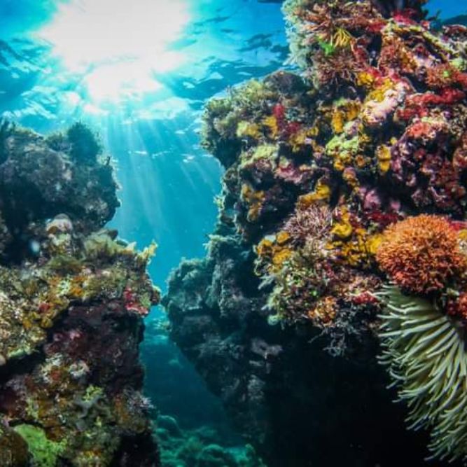 filippine siquijor siargao viaggio cgtravel