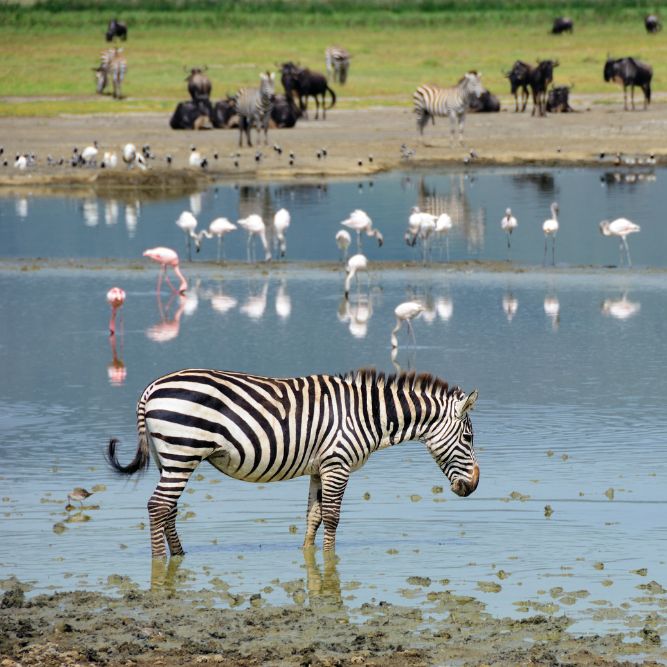 giro del mondo viaggio di nozze cgtravel giro del mondo viaggio di nozze cgtravel