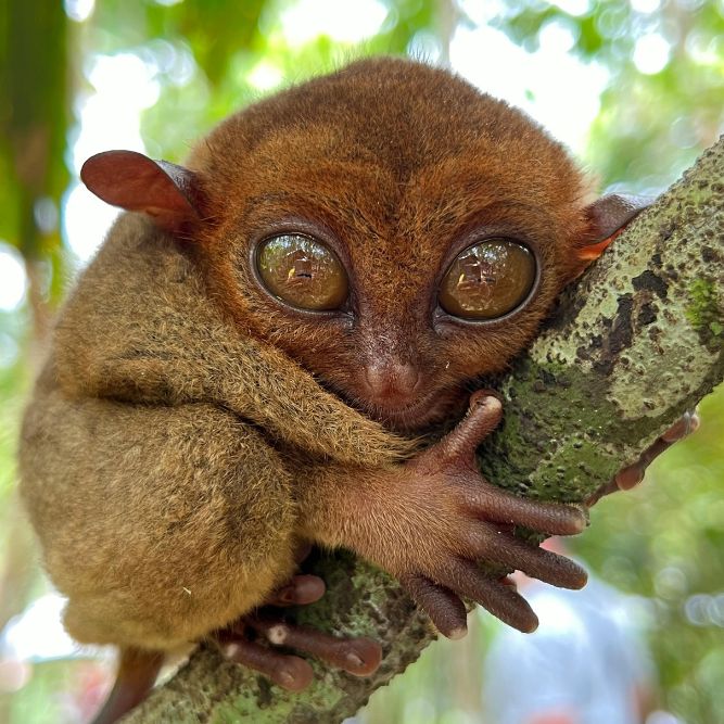 filippine siquijor siargao viaggio cgtravel