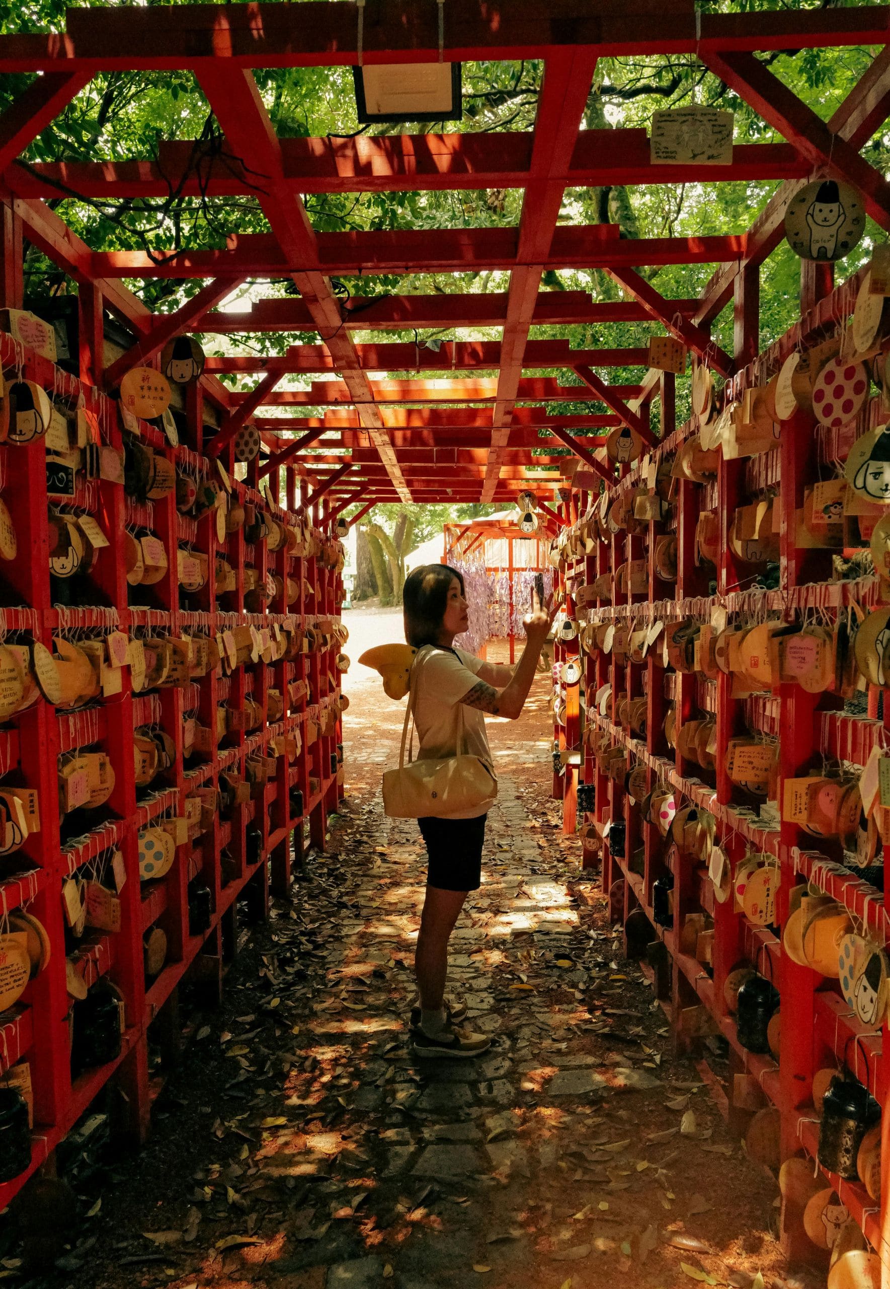 viaggi in giappone agenzia viaggi cgtravel in toscana