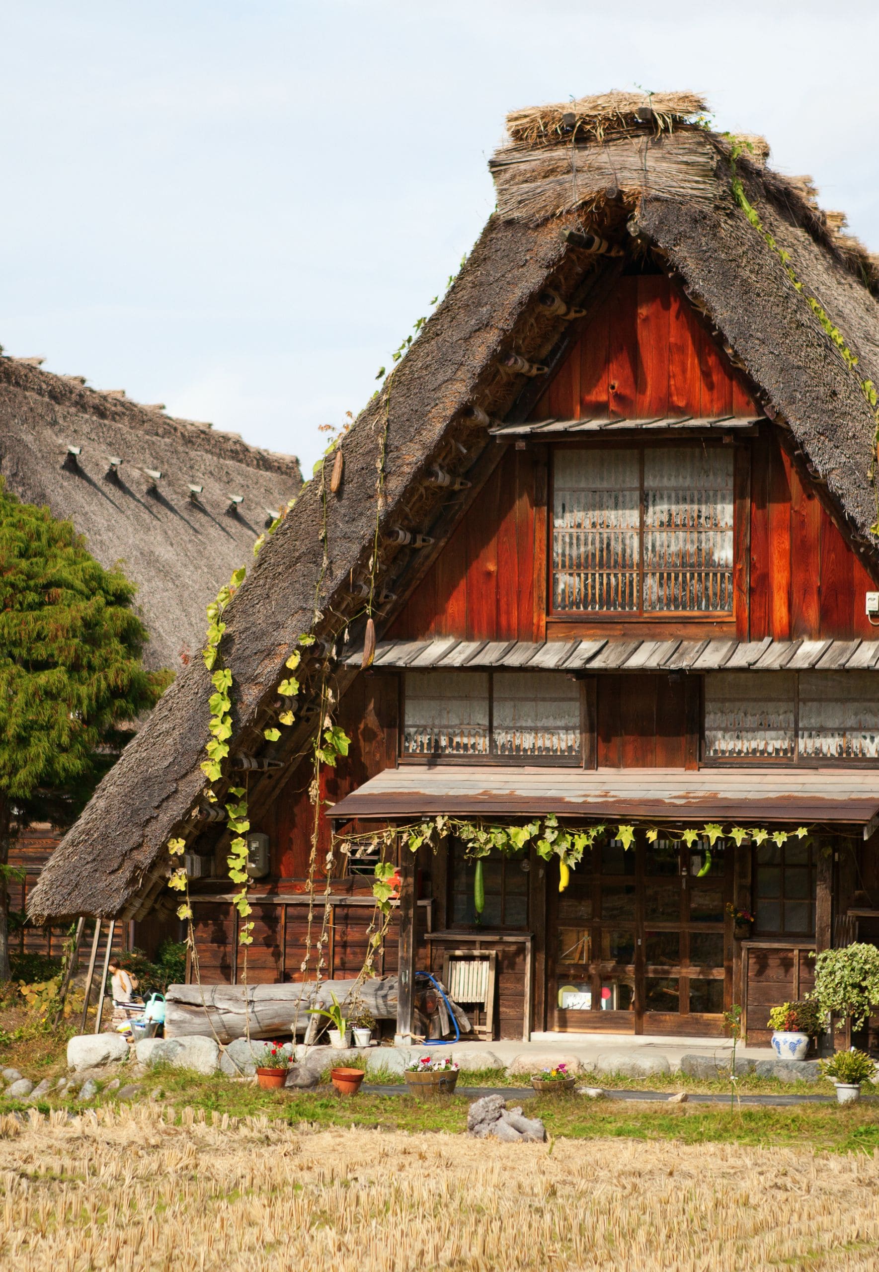 viaggi in giappone agenzia viaggi cgtravel in toscana