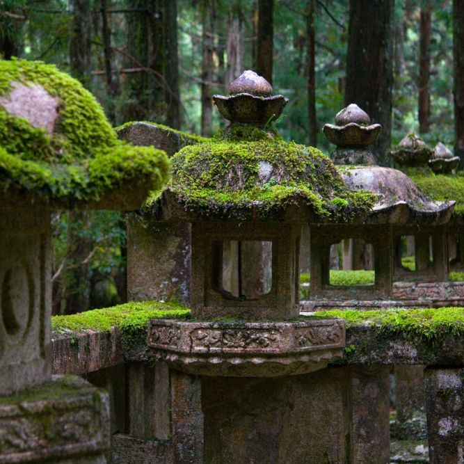 viaggi in giappone agenzia viaggi cgtravel in toscana