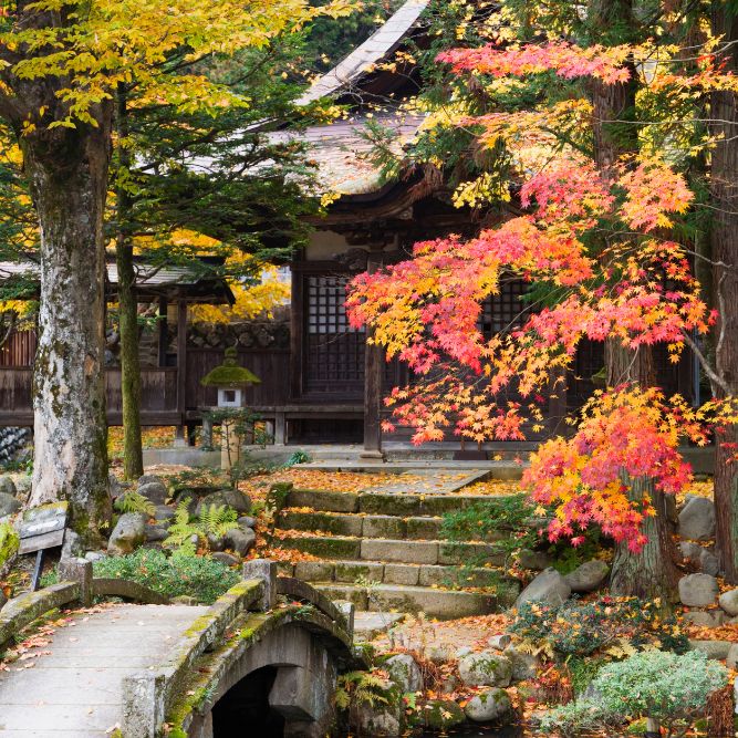 viaggi in giappone agenzia viaggi cgtravel in toscana