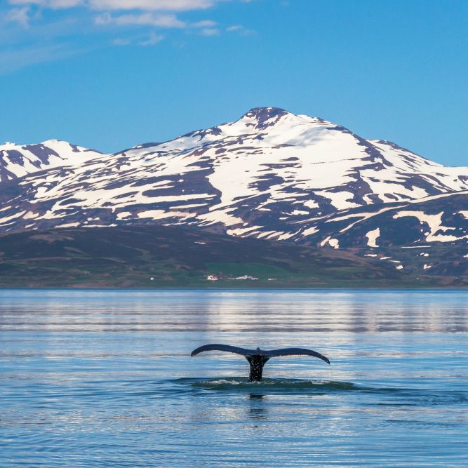 viaggi organizzati di gruppo Islanda migliore agenzia viaggi organizzati di gruppo Islanda migliore agenzia