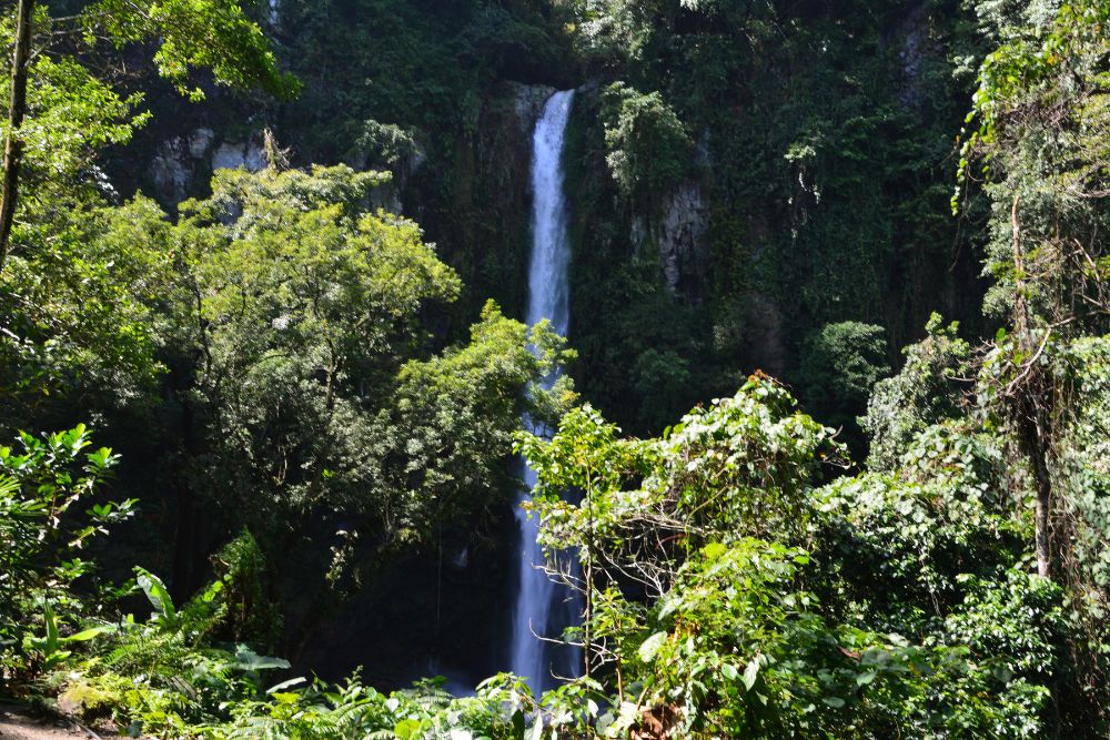 viaggi organizzati di gruppo FILIPPINE migliore agenzia viaggi organizzati di gruppo FILIPPINE migliore agenzia