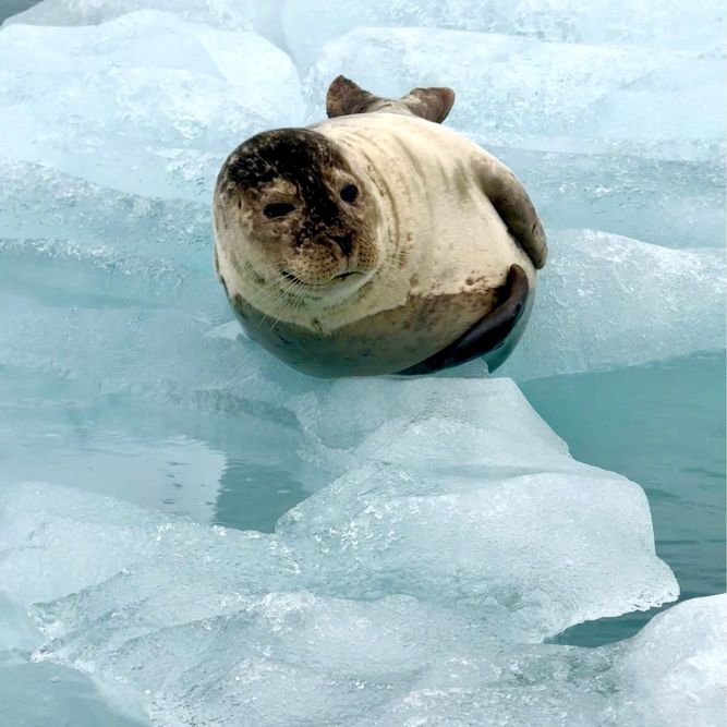 viaggi organizzati di gruppo Islanda migliore agenzia viaggi organizzati di gruppo Islanda migliore agenzia