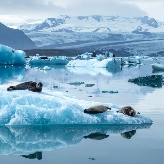 8viaggi organizzati di gruppo Islanda migliore agenzia viaggi organizzati di gruppo Islanda migliore agenzia