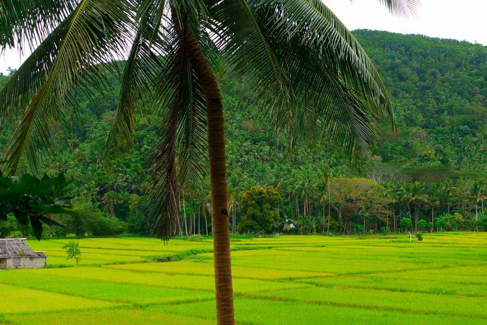 viaggi organizzati di gruppo FILIPPINE migliore agenzia viaggi organizzati di gruppo FILIPPINE migliore agenzia