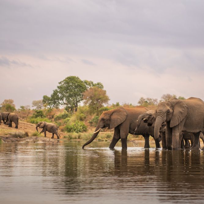 14viaggi organizzati di gruppo sudafrica cascate vittoria migliore agenzia forte dei marmi Arezzo siena firenze viaggi organizzati di gruppo sudafrica cascate vittoria migliore agenzia forte dei marmi Arezzo siena firenze