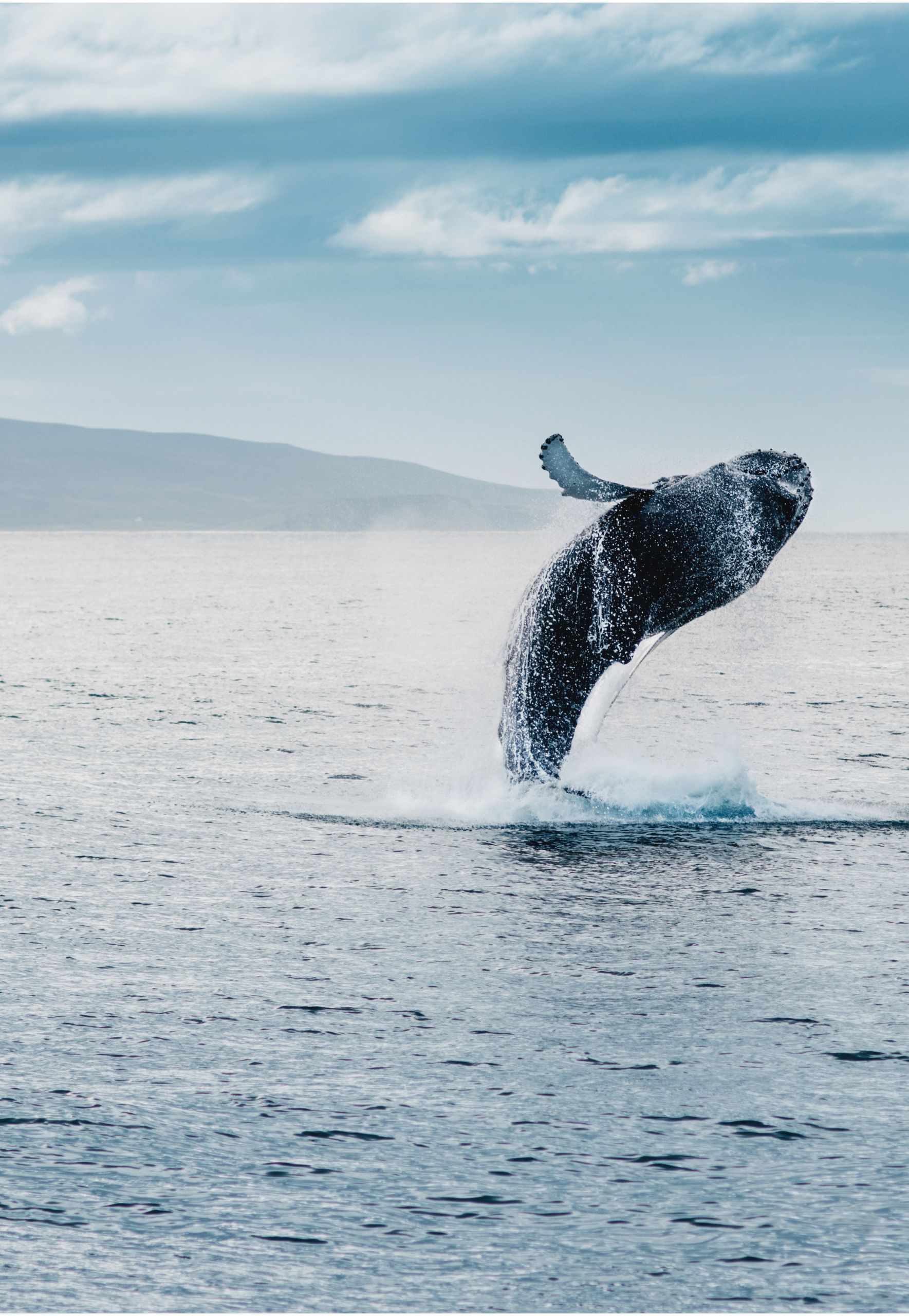 viaggi organizzati di gruppo Islanda migliore agenzia viaggi organizzati di gruppo Islanda migliore agenzia